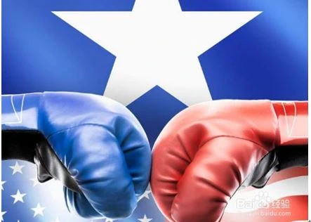 MMA boxing gloves