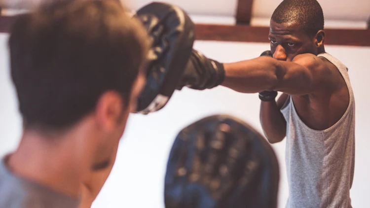 Punching Mitts 