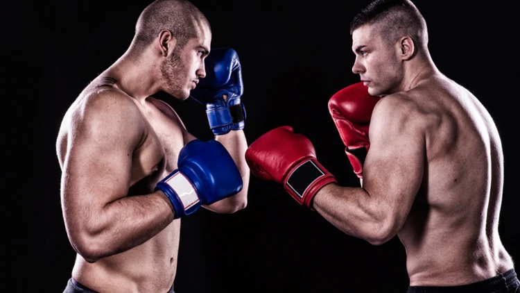 competitive boxing gloves 