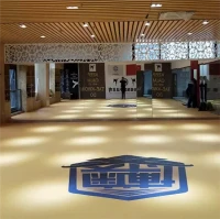 حصيرة XPE للياقة البدنية